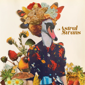 12" Astral Swans New Album